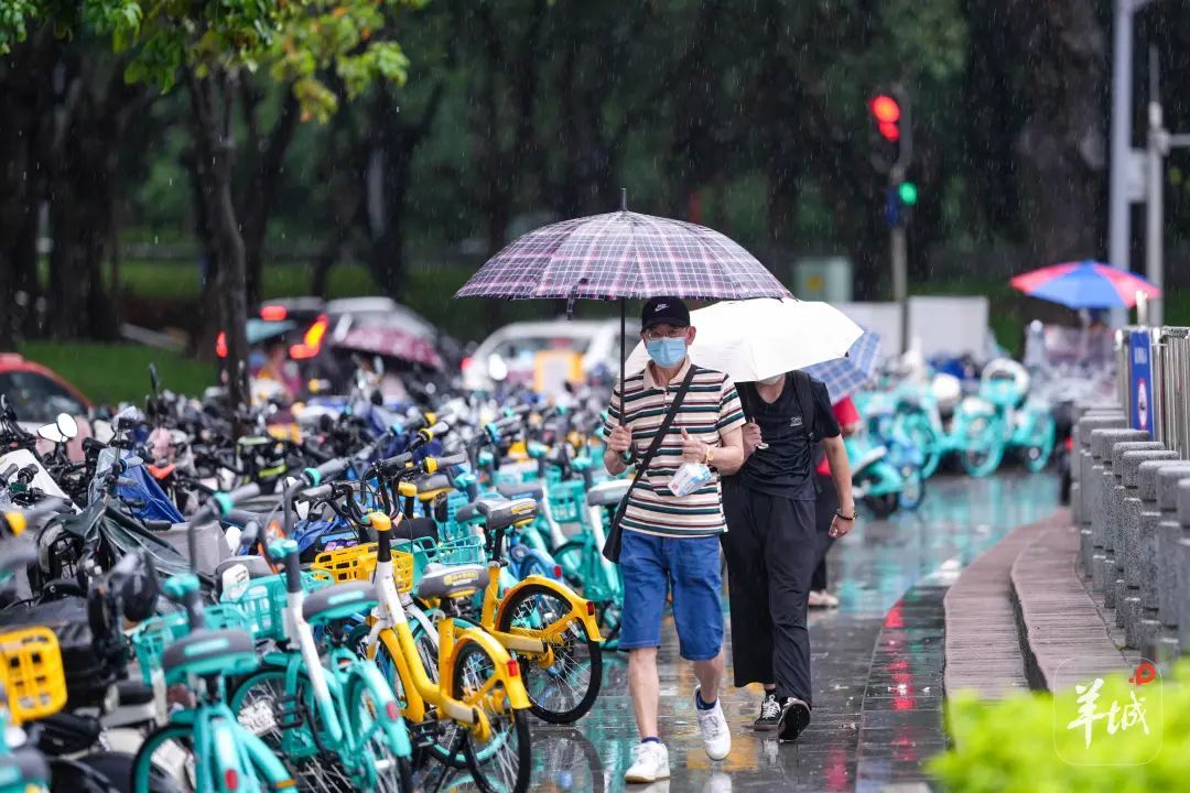 新台风或将生成!广东部分渔船回港避风、景区适时关停 新台风或将生成!广东部分渔船回港避风、景区适时关停