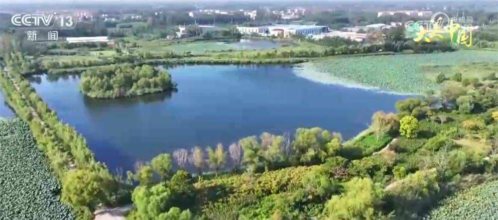 从“伤疤”到“财富”、从“砍”到“看” 绿水青山让百姓吃上“旅游饭” 从“伤疤”到“财富”、从“砍”到“看” 绿水青山让百姓吃上“旅游饭”