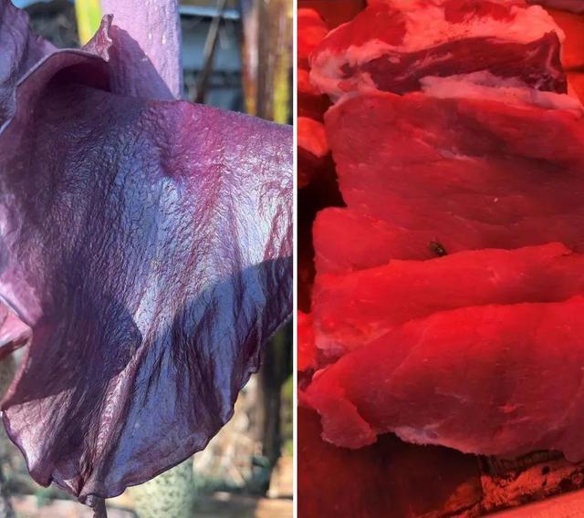 说出来你们可能不信,但魔芋其实是道荤菜 说出来你们可能不信,但魔芋其实是道荤菜