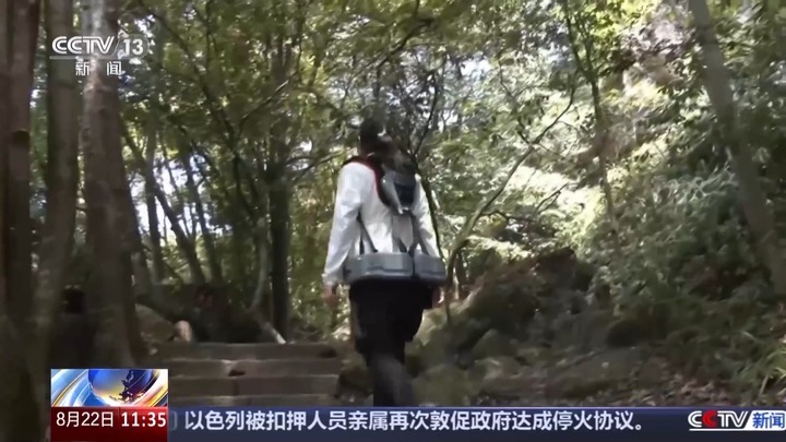 白鹇、金斑喙凤蝶、藏酋猴……看!神奇动物在武夷山 白鹇、金斑喙凤蝶、藏酋猴……看!神奇动物在武夷山