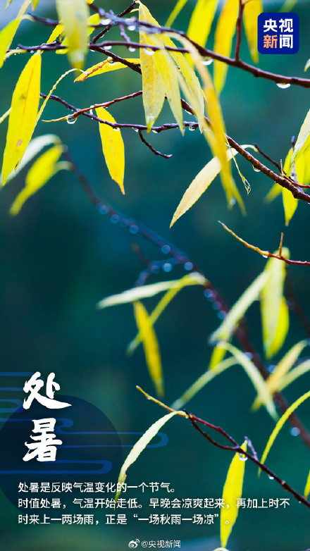 转发！一觉醒来和夏天告别了