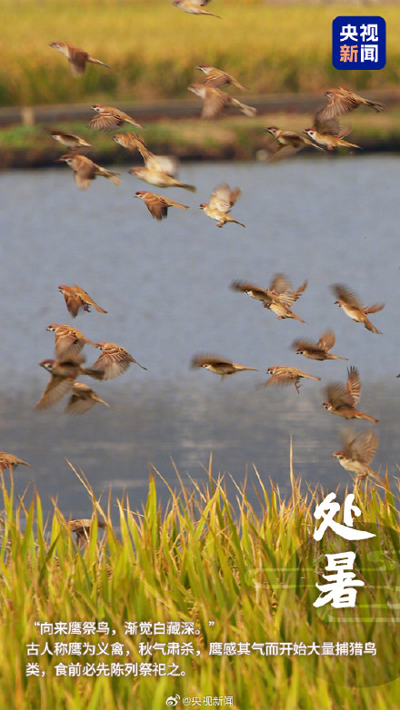转发！一觉醒来和夏天告别了