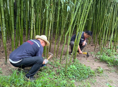 咬我的蚊子，是我自己养的？