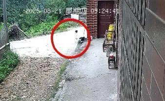 30小时生死救援!邵阳走失的2岁女童找到了 30小时生死救援!邵阳走失的2岁女童找到了