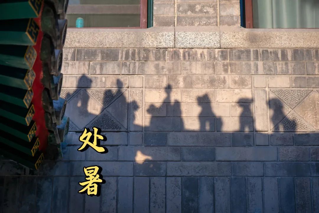 时令节气与健康 | 处暑后，天干物燥，护好鼻咽