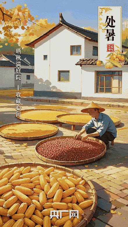 秋日从处暑开始变温柔