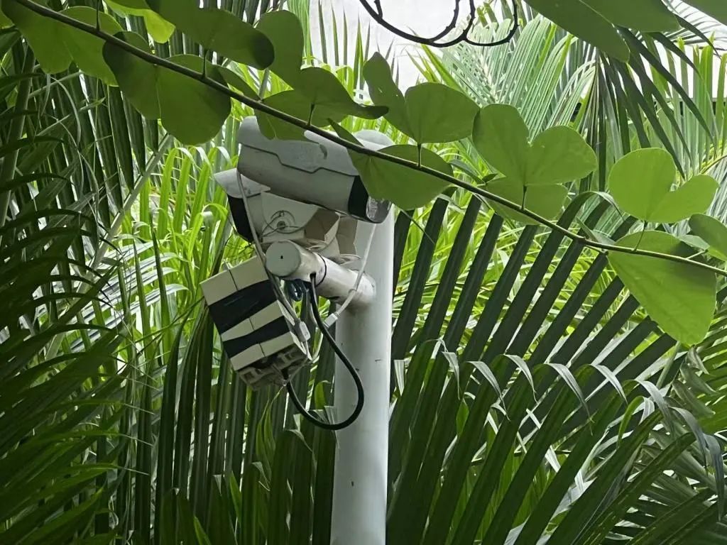 绝望的14分钟！“多人合力仍拖拽不动”，6岁女童殒命，原因披露→