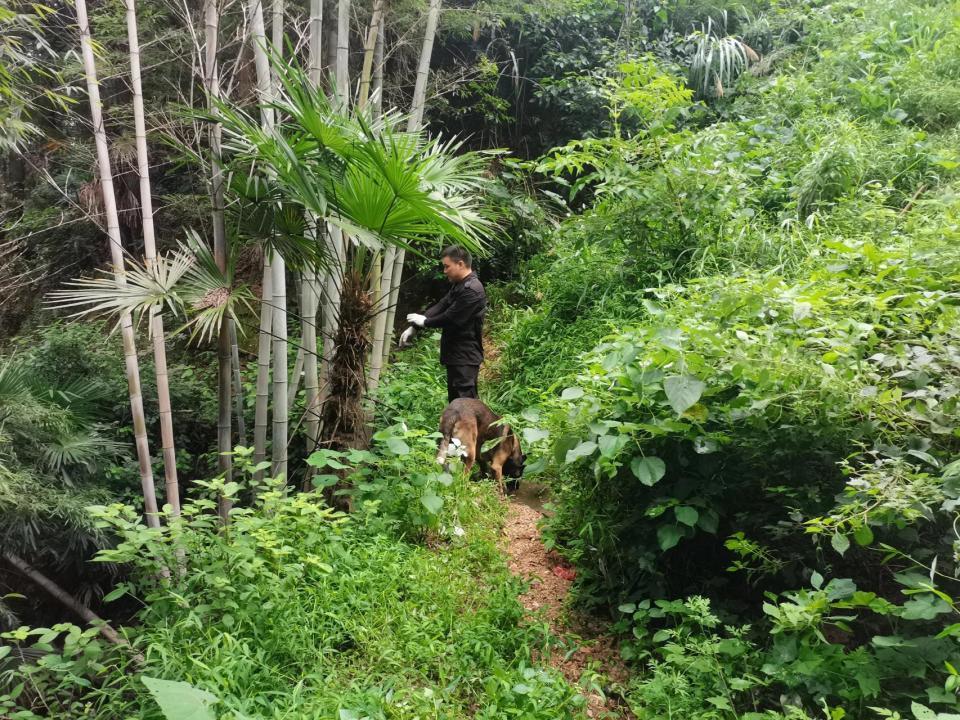 30小时生死救援!邵阳走失的2岁女童找到了 30小时生死救援!邵阳走失的2岁女童找到了