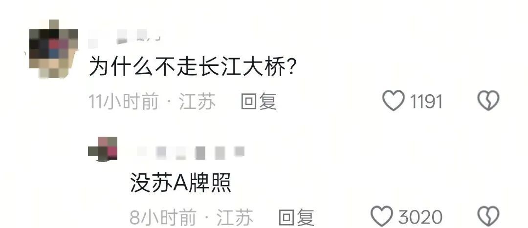 南京6头野猪组队渡长江:整整齐齐、不慌不忙 南京6头野猪组队渡长江:整整齐齐、不慌不忙