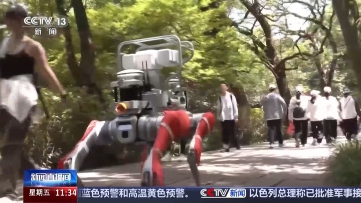 白鹇、金斑喙凤蝶、藏酋猴……看!神奇动物在武夷山 白鹇、金斑喙凤蝶、藏酋猴……看!神奇动物在武夷山