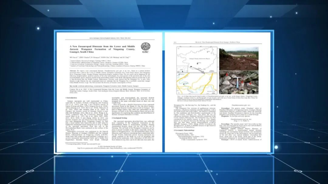 重大发现！广西发现全新属种的侏罗纪蜥脚类恐龙