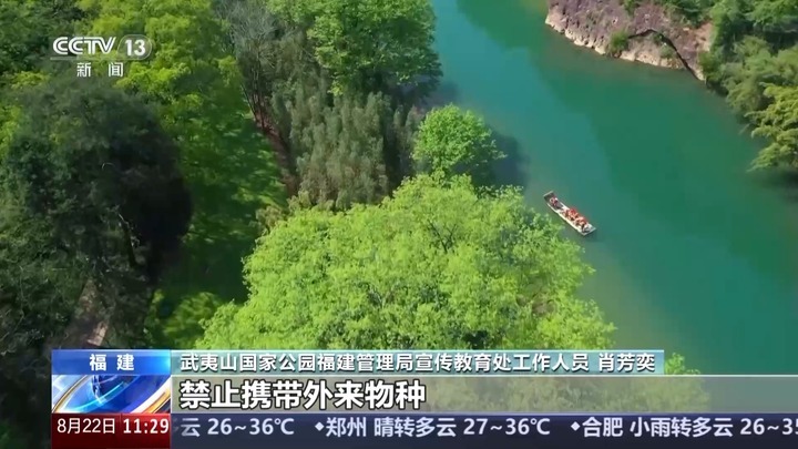 白鹇、金斑喙凤蝶、藏酋猴……看!神奇动物在武夷山 白鹇、金斑喙凤蝶、藏酋猴……看!神奇动物在武夷山