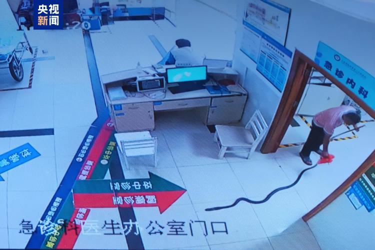 带蛇就医是“必选项”吗?被蛇咬伤后如何处理? 带蛇就医是“必选项”吗?被蛇咬伤后如何处理?