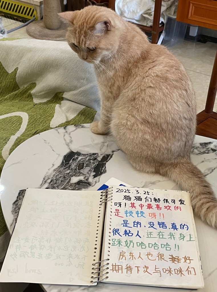 狗狗日薪可达200元！多地推出“宠物陪睡”，你能接受吗？