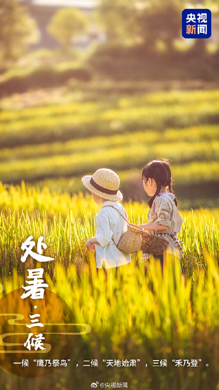 转发！一觉醒来和夏天告别了