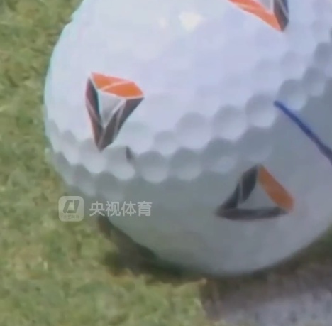 一只苍蝇助攻高尔夫名将赢百万奖金：苍蝇落在球上缓缓爬动，意外推球滚入洞
