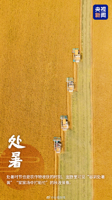 转发！一觉醒来和夏天告别了