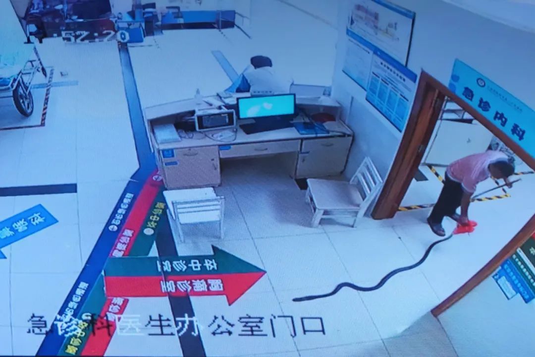 老人被蛇咬伤，家属拖着两米多长的“凶手”冲进医院！医生紧急提醒