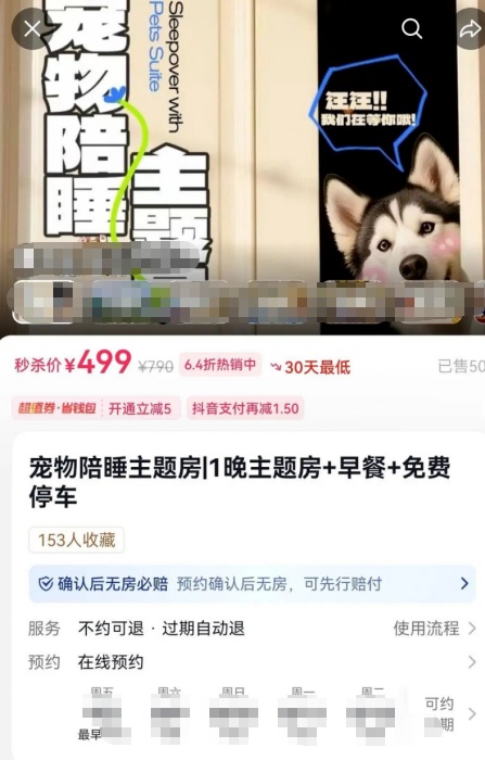 狗狗日薪可达200元！多地推出“宠物陪睡”，你能接受吗？