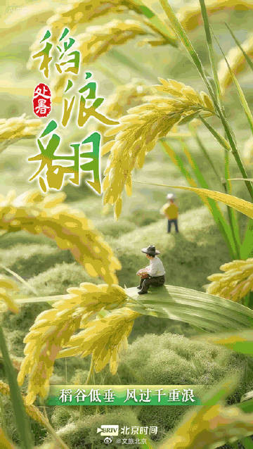 处暑节气唤醒初秋滋味