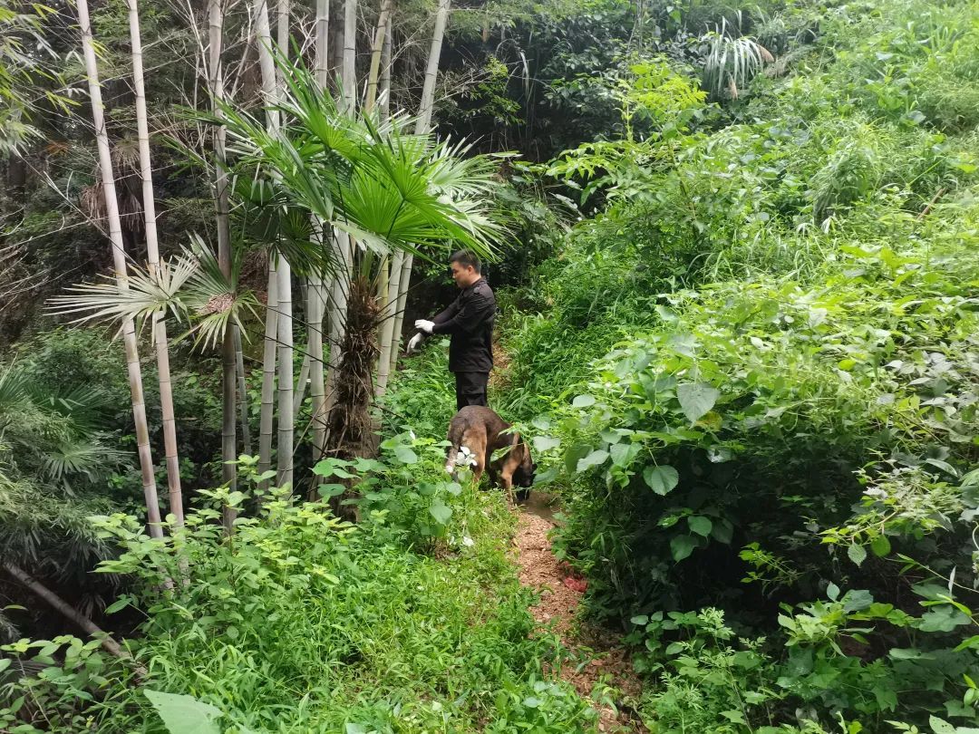 30小时的极限救援！2岁女童找到了！
