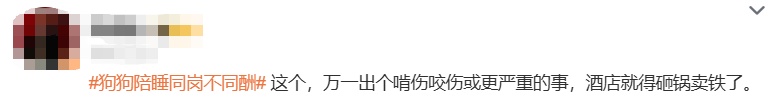 狗狗日薪可达200元！多地推出“宠物陪睡”，你能接受吗？