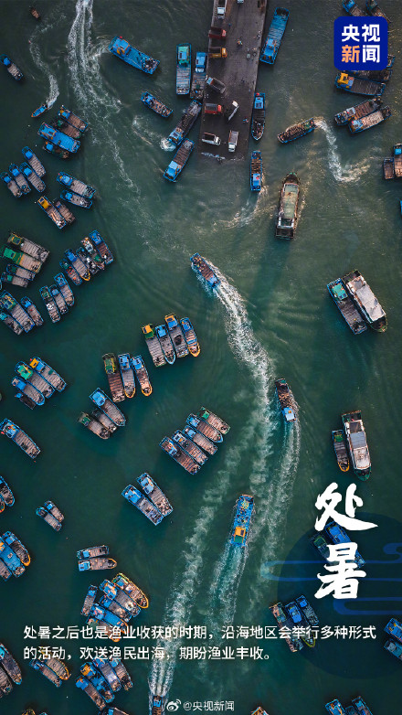 转发！一觉醒来和夏天告别了