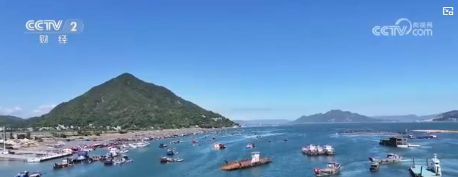 处暑夜捕迎鱼汛 万亩莲藕喜丰收：“水上经济”活力足