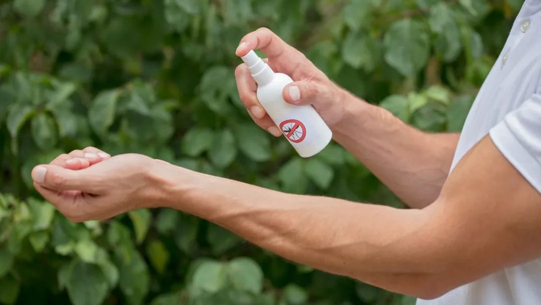 郑州疾控发布基孔肯雅热防控要点：清积水、灭蚊虫、防叮咬！