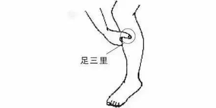 处暑｜暑气尽，凉风起，由热转凉的关键节气，养生务必要注意这4点→