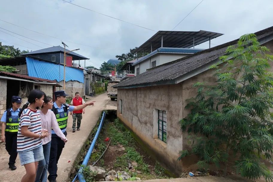 报告警察叔叔，发现大麻！