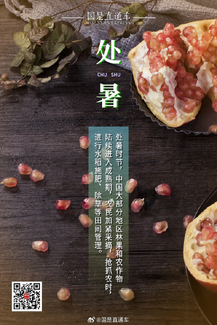 处暑的处应该读几声? 处暑的处应该读几声?