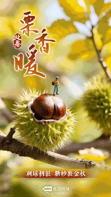 处暑节气唤醒初秋滋味