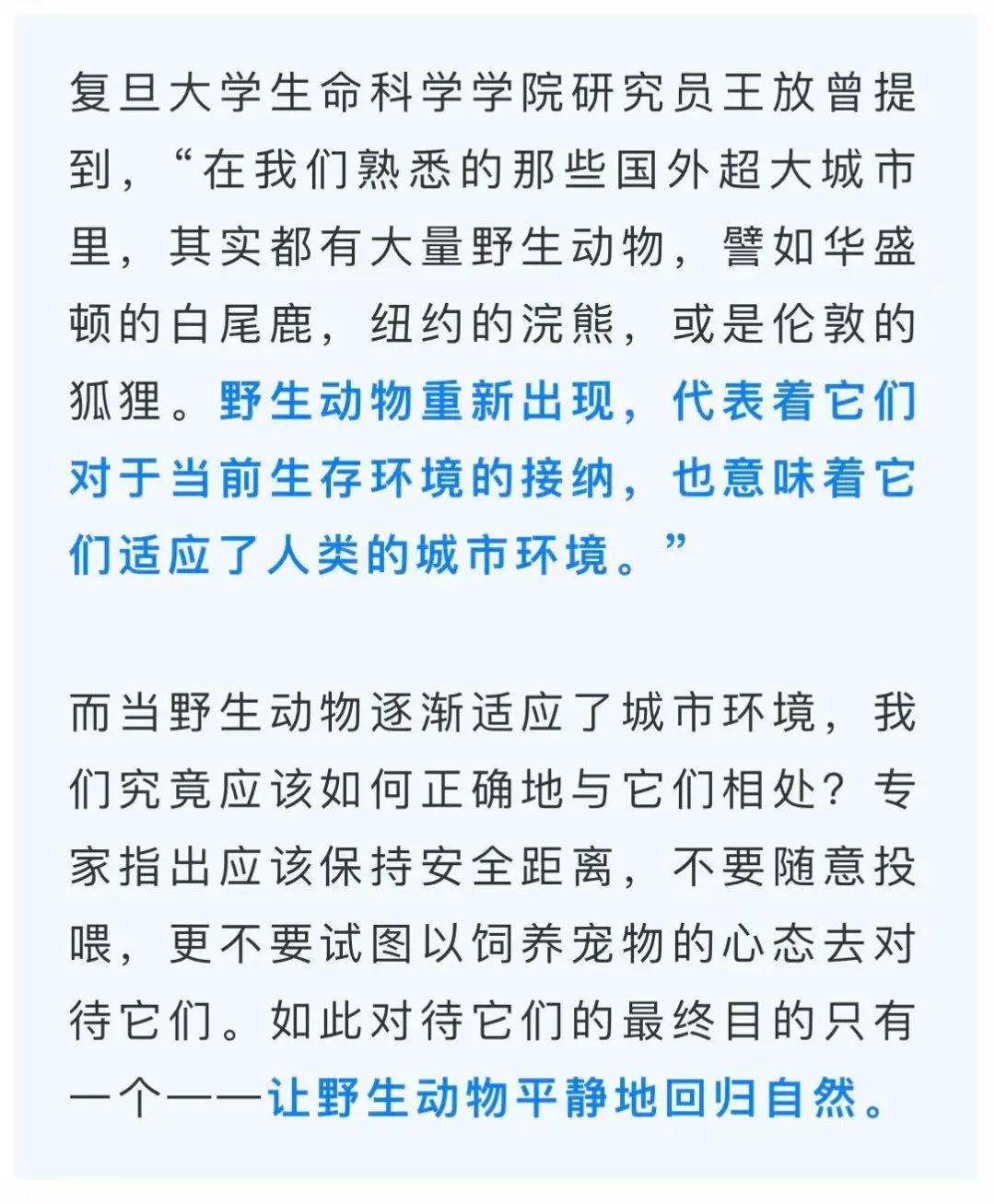 南京6头野猪组队渡长江:整整齐齐、不慌不忙 南京6头野猪组队渡长江:整整齐齐、不慌不忙