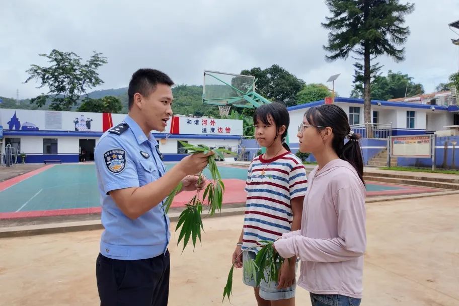 报告警察叔叔，发现大麻！