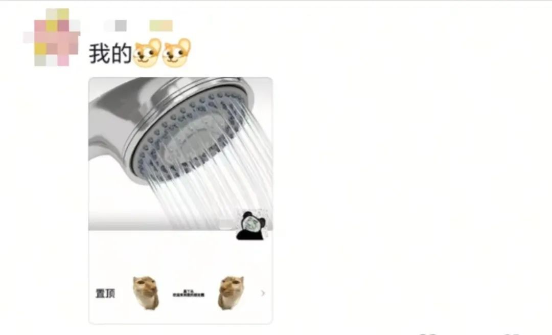 “爸妈，朋友圈背景图这是谁啊？”