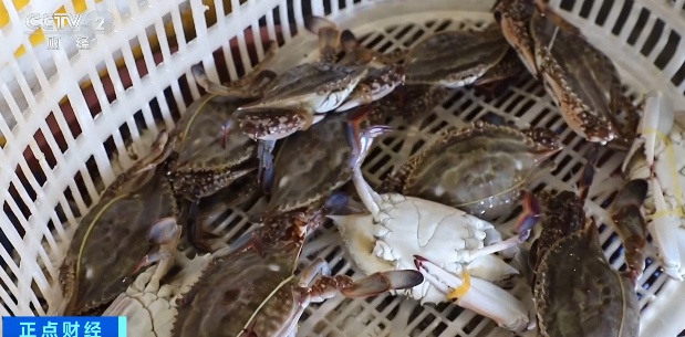 价格腰斩!浙江很多人超爱吃的这口,终于等到了! 价格腰斩!浙江很多人超爱吃的这口,终于等到了!