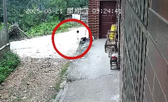 2岁女孩失踪超30小时，找到了！