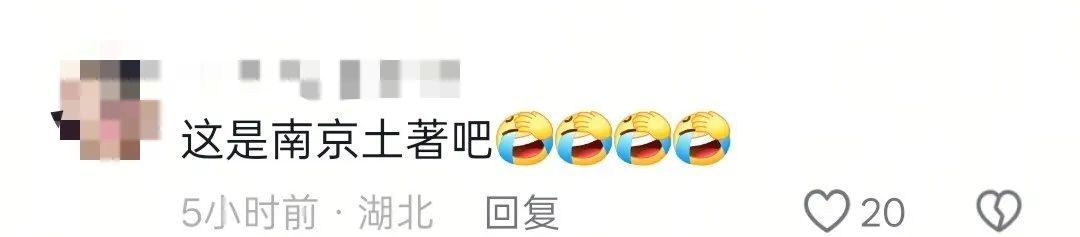 南京6头野猪横渡长江!组队整整齐齐,不慌不忙,还排成了“6”字…… 南京6头野猪横渡长江!组队整整齐齐,不慌不忙,还排成了“6”字……