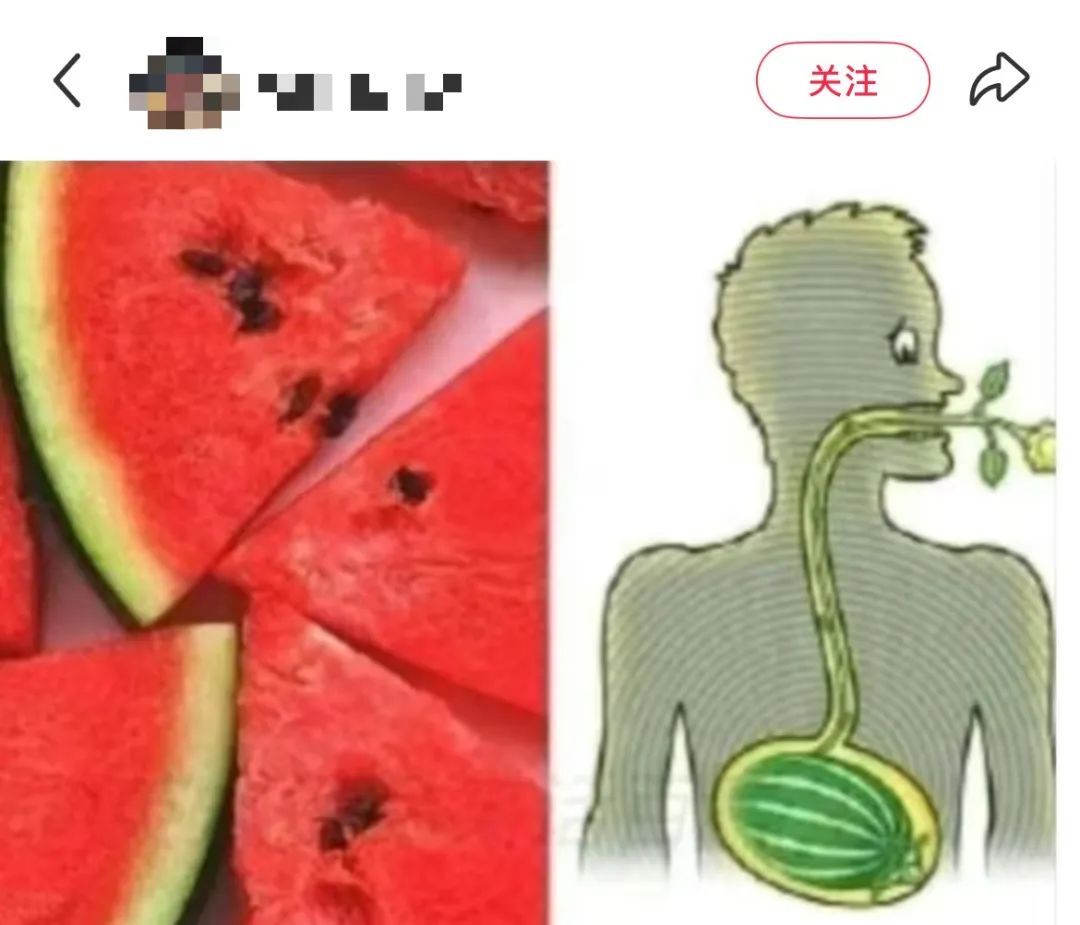 小时候坚信，咽下西瓜籽嘴里就会长出西瓜藤！？网友：甚至偷偷吃了点泥土……
