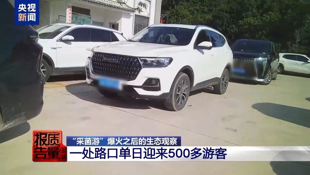 每周质量报告丨云南大理“采菌游”爆火 无序采摘已引发多起警情