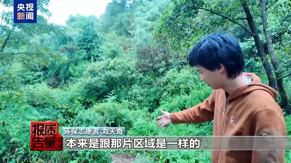 每周质量报告丨云南大理“采菌游”爆火 无序采摘已引发多起警情