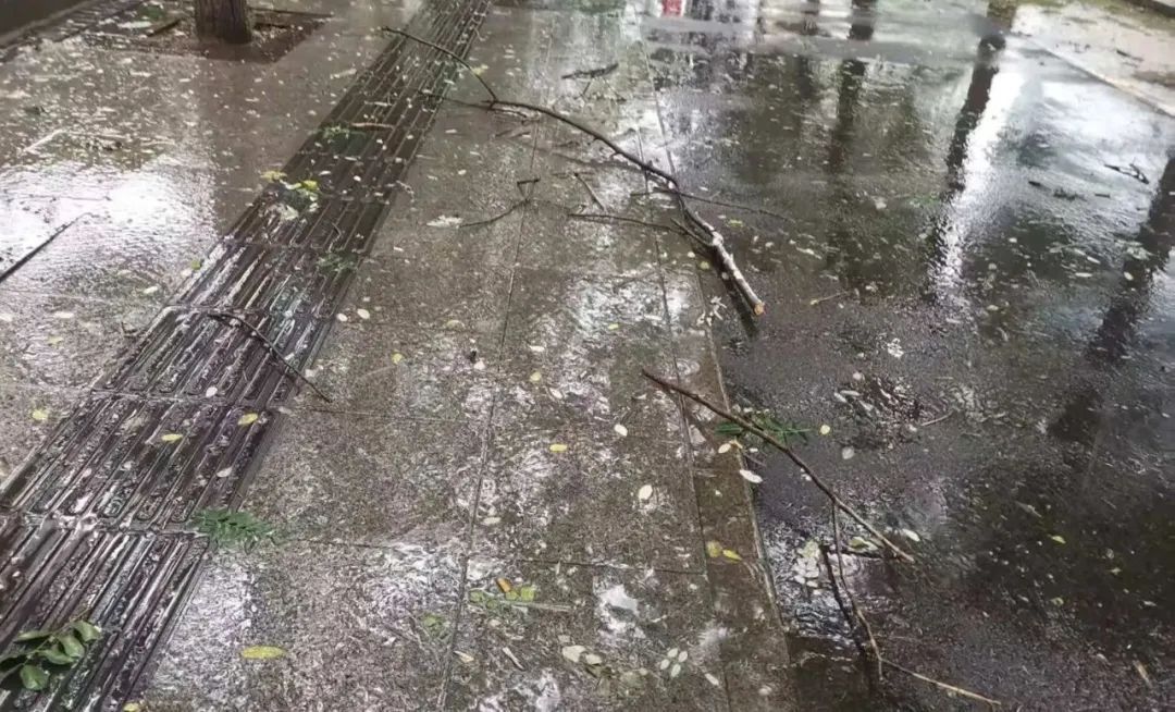 注意！沈阳今迎大到暴雨，气温跳水式下降