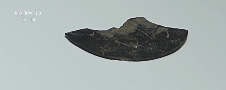 长知识了！原来“觥筹交错”的“觥”长这样