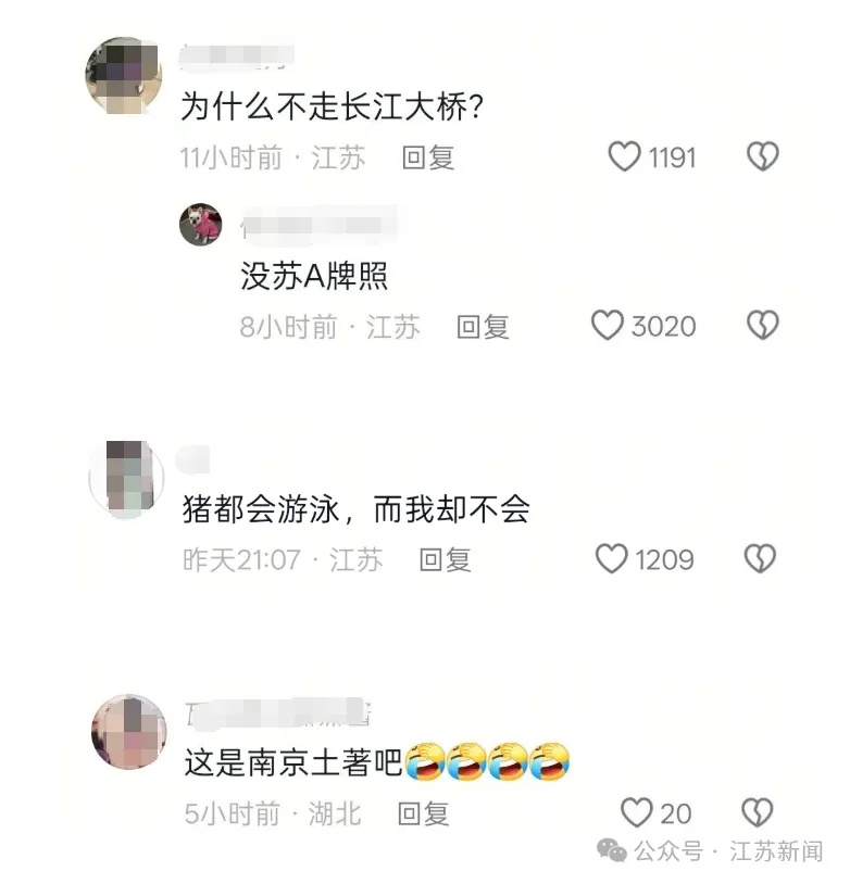 浪浪山小妖怪具象了!6只野猪横渡长江,还成功上岸 浪浪山小妖怪具象了!6只野猪横渡长江,还成功上岸