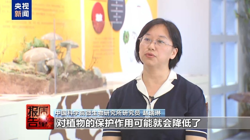 每周质量报告丨云南大理“采菌游”爆火 无序采摘已引发多起警情