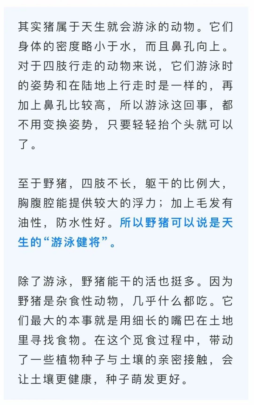 南京6头野猪横渡长江!组队整整齐齐,不慌不忙,还排成了“6”字…… 南京6头野猪横渡长江!组队整整齐齐,不慌不忙,还排成了“6”字……