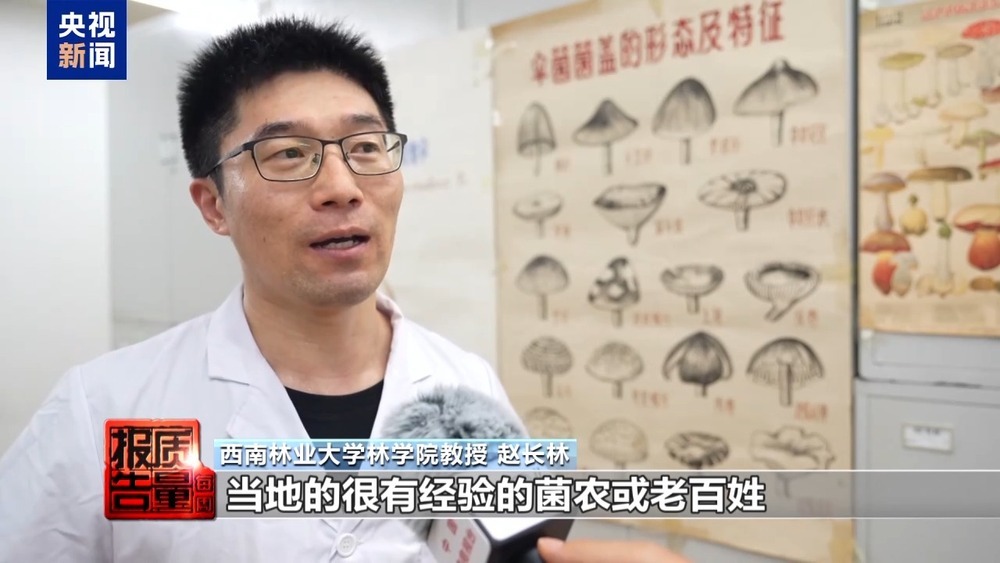 每周质量报告丨云南大理“采菌游”爆火 无序采摘已引发多起警情