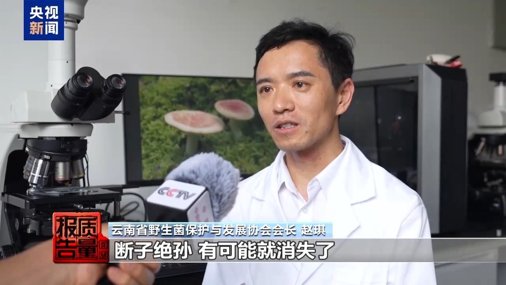 每周质量报告丨云南大理“采菌游”爆火 无序采摘已引发多起警情