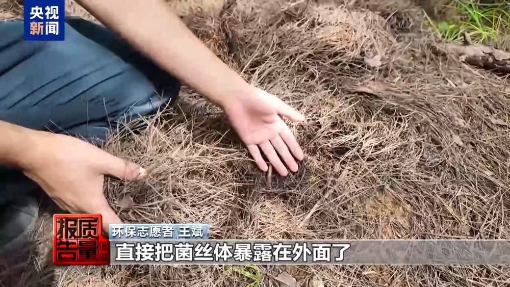 每周质量报告丨云南大理“采菌游”爆火 无序采摘已引发多起警情